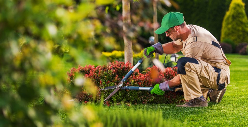 NEPA Facilities Management landscaping